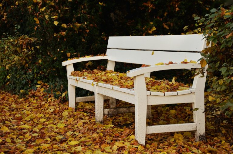 park bench, autumn, leaf fall